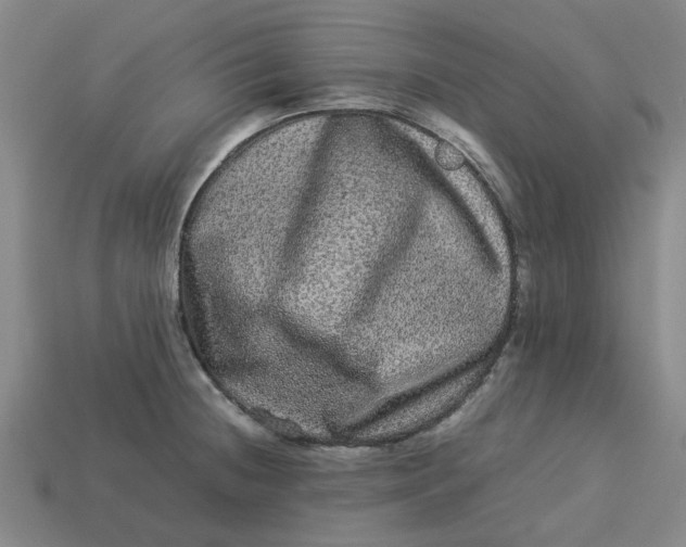 X0000113241236200910011319