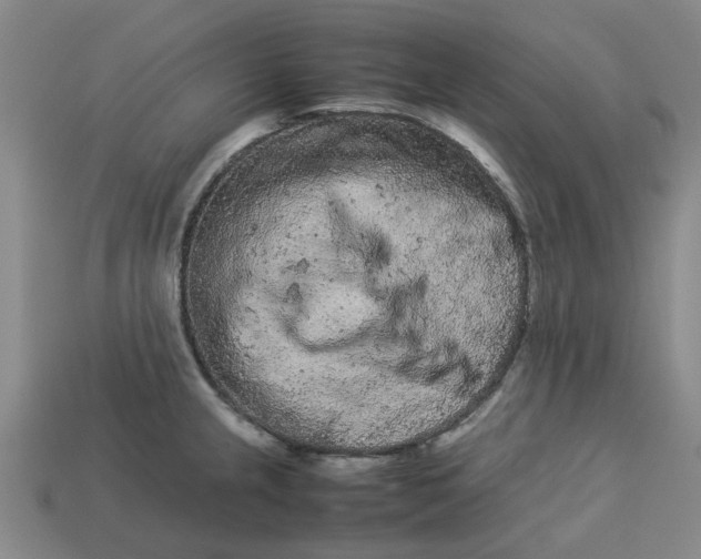 X0000113241237200910011319