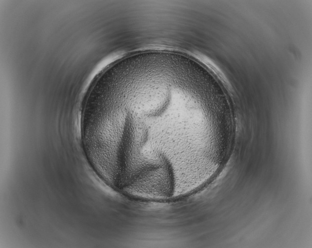 X0000113241238200910011320