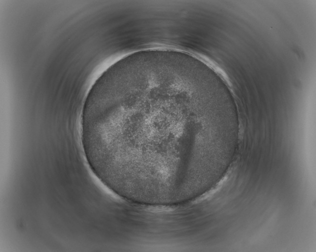 X0000113241239200910011320