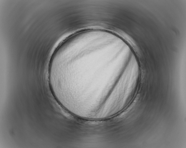 X0000113241240200910011320