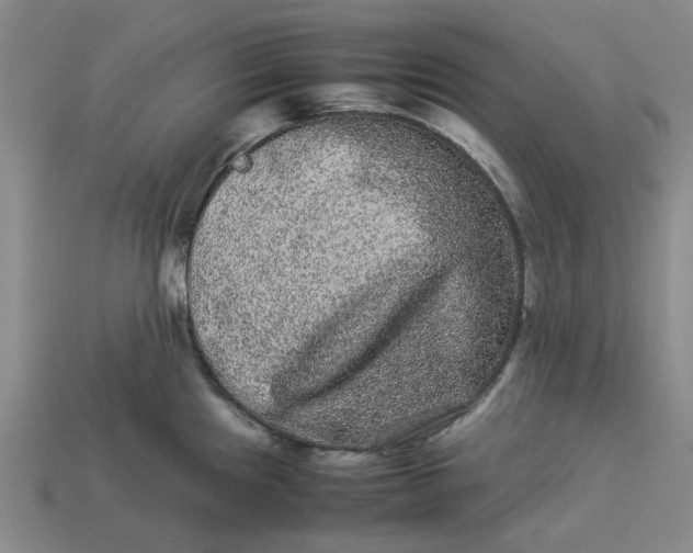 X0000113241241200910011320