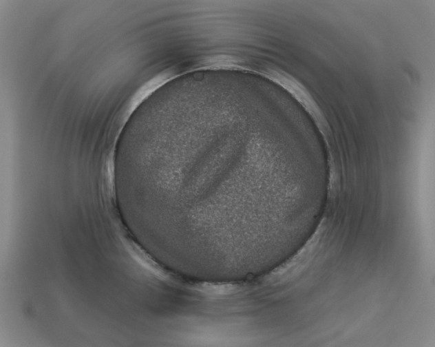 X0000113241242200910011320