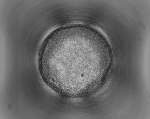 X0000113241243200910011320