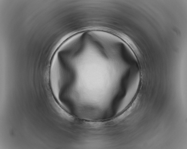 X0000113241244200910011320