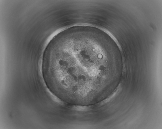 X0000113241245200910011320