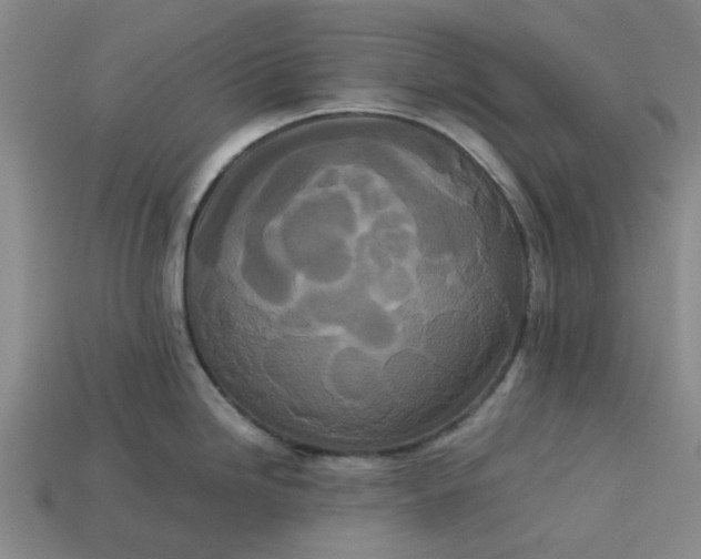 X0000113241246200910011320