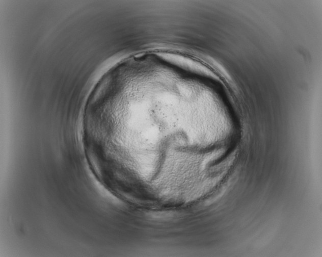 X0000113241247200910011320