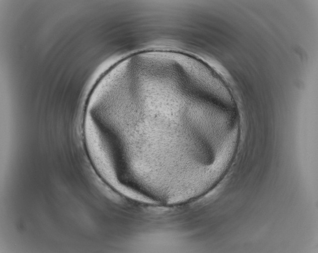 X0000113241248200910011320