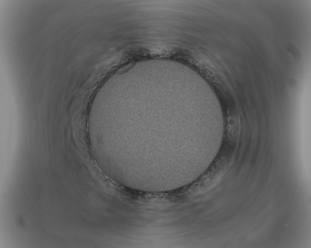 X0000113241249200910011319