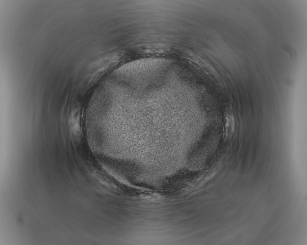 X0000113241250200910011319