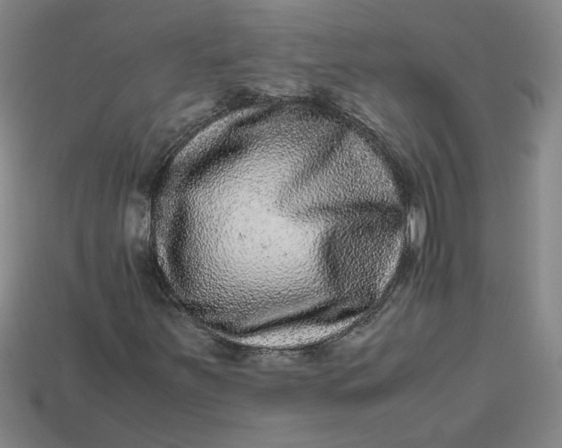 X0000113241251200910011319