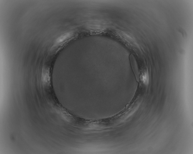 X0000113241252200910011319