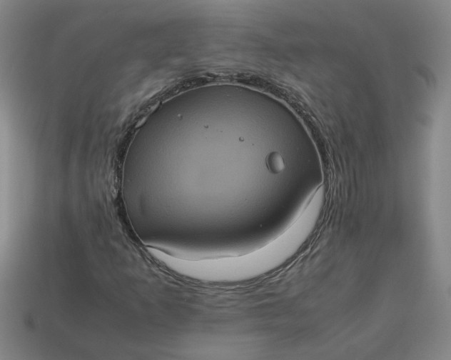 X0000113241253200910011319