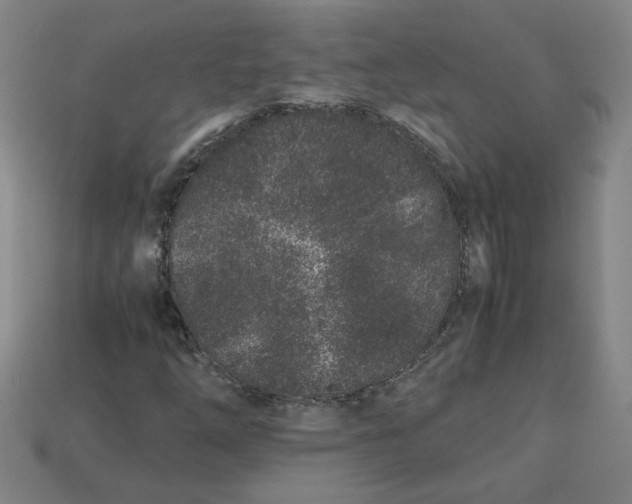 X0000113241254200910011319