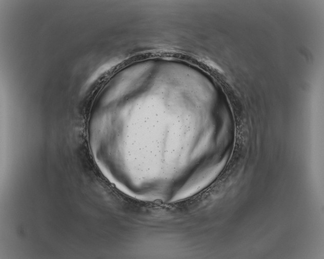 X0000113241255200910011319