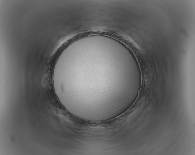 X0000113241256200910011319