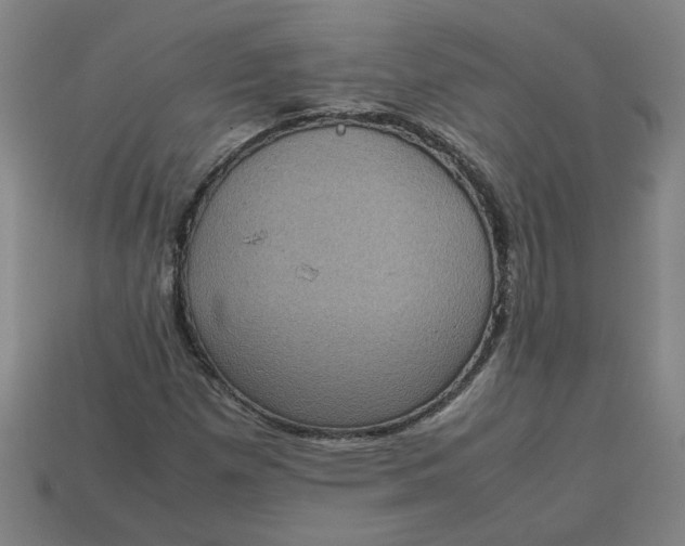 X0000113241257200910011319