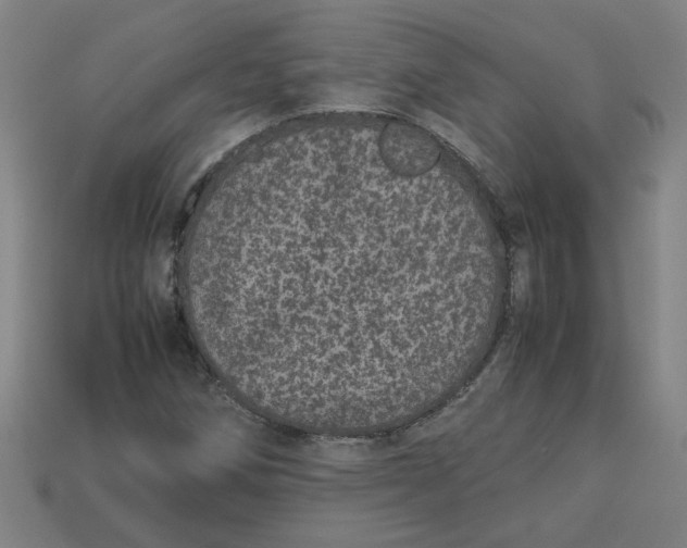 X0000113241258200910011319