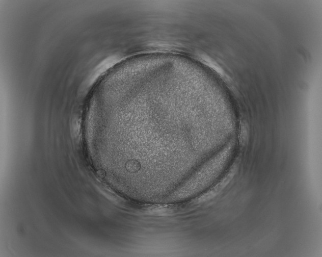 X0000113241259200910011319