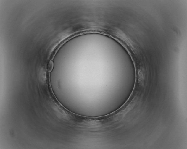 X0000113241260200910011319