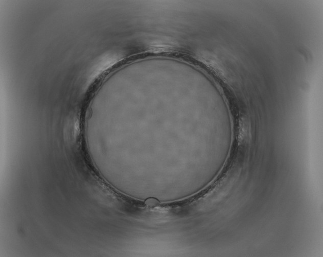 X0000113241261200910011319