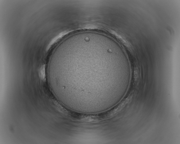 X0000113241262200910011319