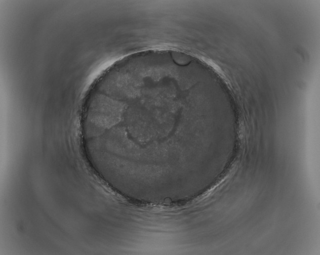 X0000113241263200910011319