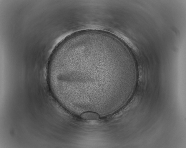 X0000113241264200910011319