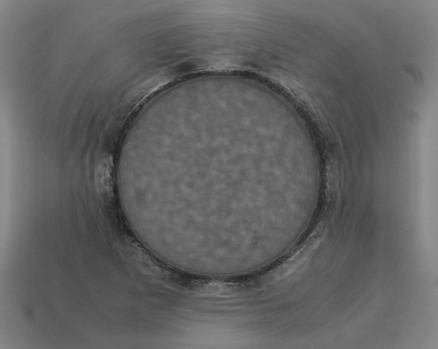 X0000113241265200910011319