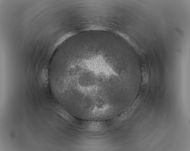 X0000113241266200910011319