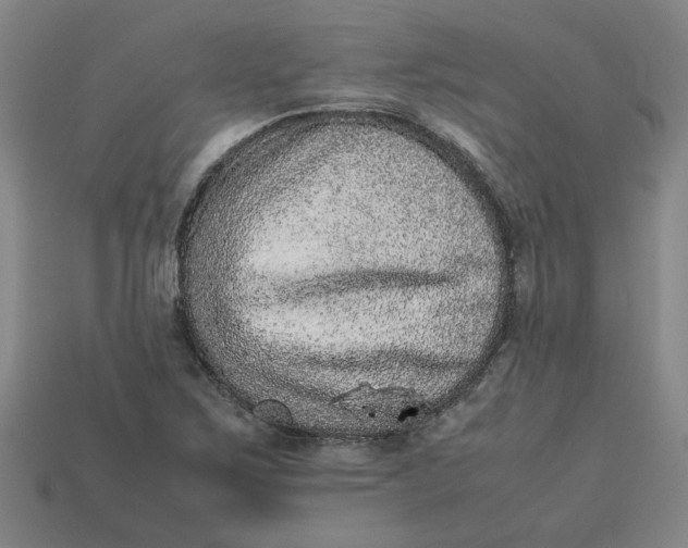 X0000113241267200910011319