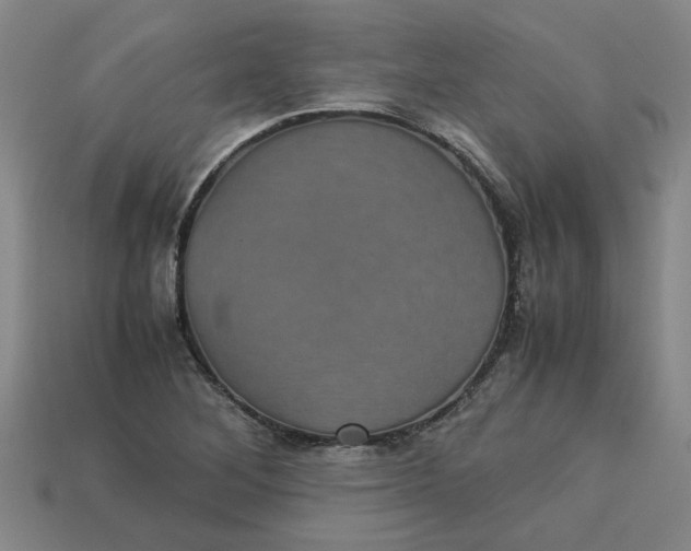 X0000113241268200910011319