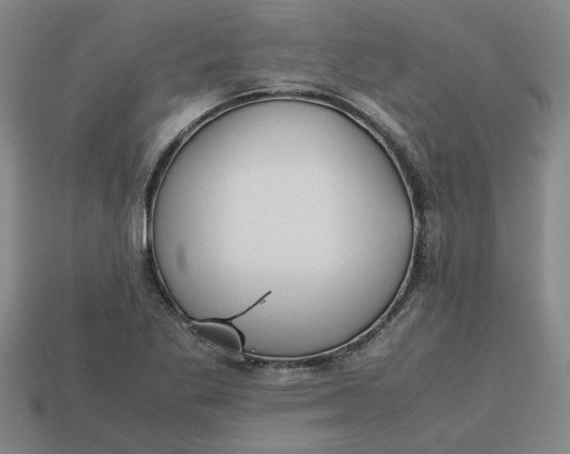 X0000113241269200910011319