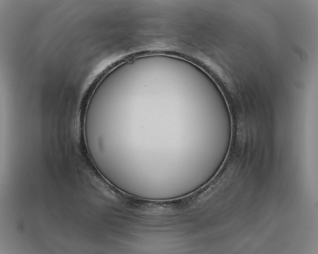 X0000113241270200910011319