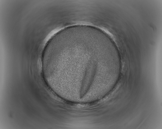 X0000113241271200910011319