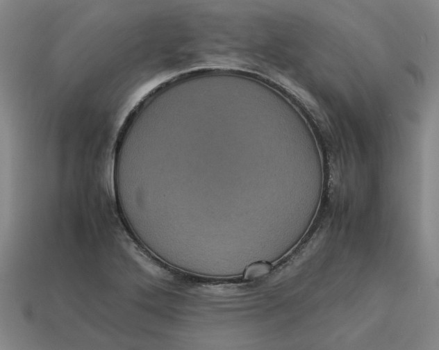 X0000113241272200910011319