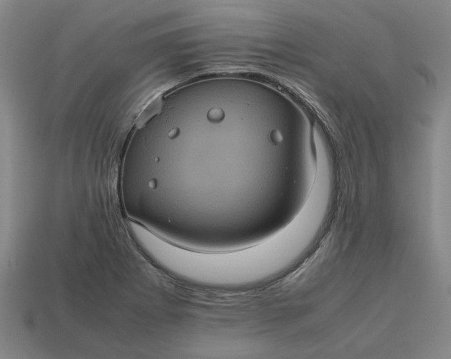 X0000113241273200910011319