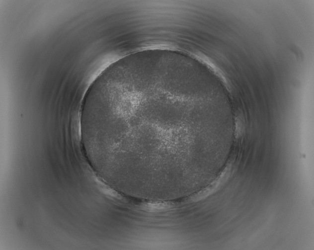 X0000113241274200910011319