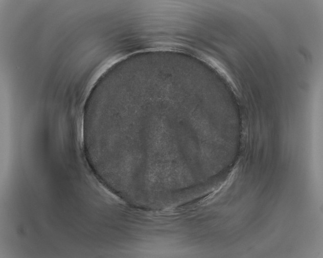 X0000113241275200910011319