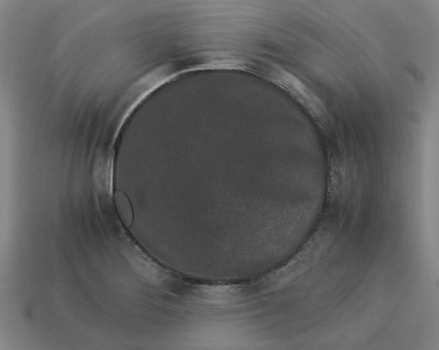 X0000113241276200910011318