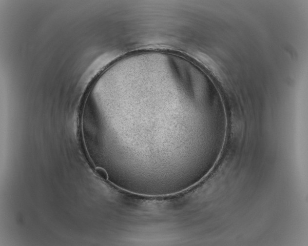 X0000113241277200910011318