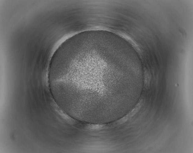 X0000113241278200910011318