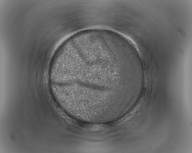 X0000113241279200910011318