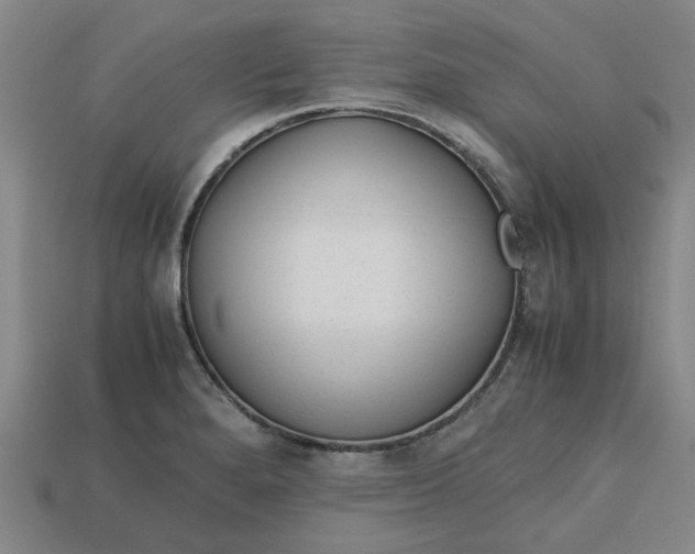 X0000113241280200910011318