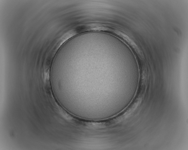 X0000113241281200910011318