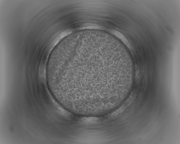 X0000113241282200910011318