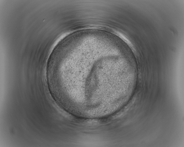 X0000113241283200910011318