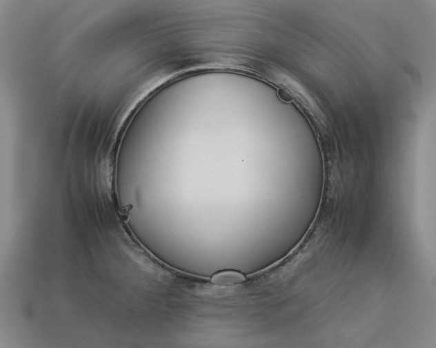 X0000113241284200910011318