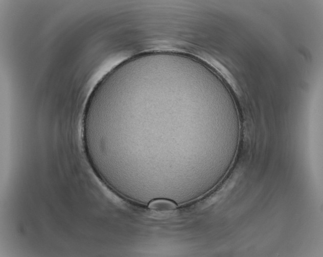 X0000113241285200910011318